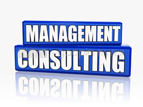 藍色區塊的管理咨詢 戰略規劃與效率提升的融合之道
