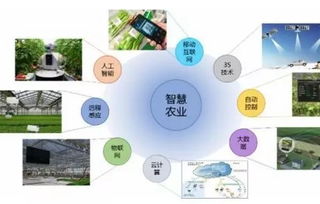 智慧農(nóng)業(yè)浪潮下，農(nóng)企如何借力信息技術(shù)咨詢服務(wù)破局爭(zhēng)先